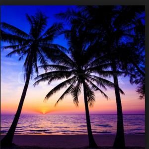 Meet your Posher, Maddie